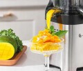 Wyciskarka Sokowirówka Wolnoobrotowa Amzchef ZM1902B