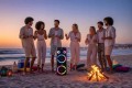 Głośnik imprezowy przenośny PartyBox Bluetooth Mikrofon Blaupunkt PS3000